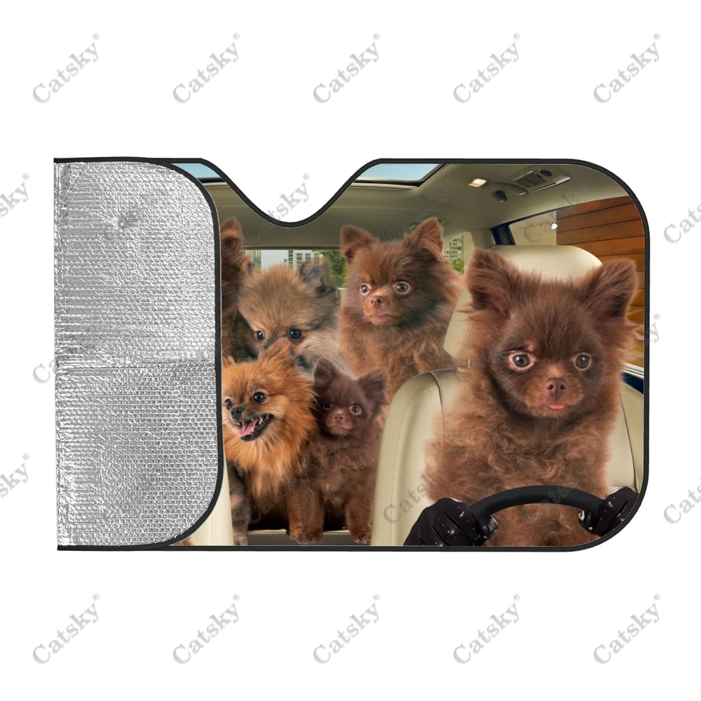 Солнцезащитный козырек для автомобиля БелКА подарок любителей автомобильного