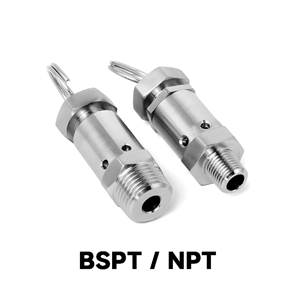 

Мини-пружинный предохранитель из нержавеющей стали 304 для компрессоров