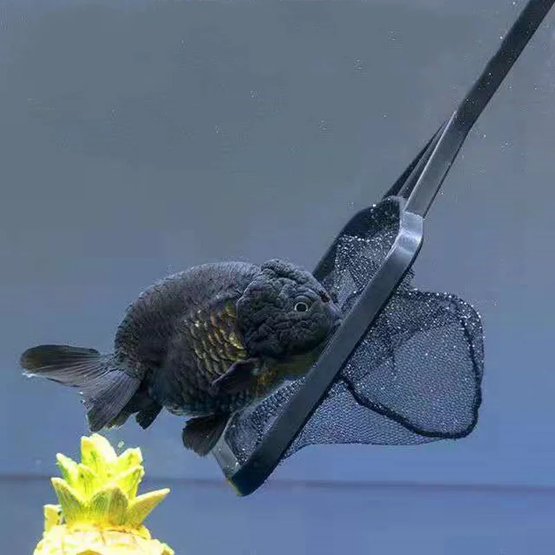 Сетка для ловли рыбы в аквариуме с длинной ручкой и квадратным выловом, портативная, размером 41см х 12см, подходит для маленьких рыб.