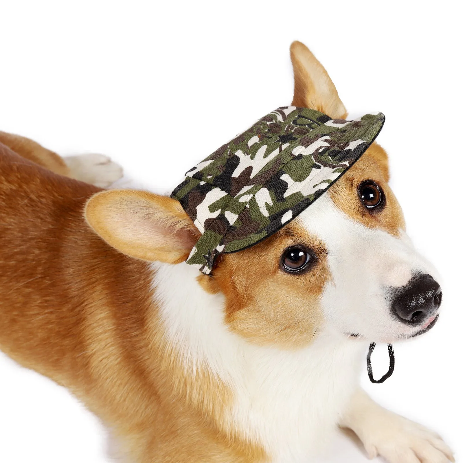 

Pet Dog Cat Baseball Cap Sunshade Cap Corky Outdoor Sports Cap Pet Headgear Simple And Fashionable New Pet Products Habitat Déco
