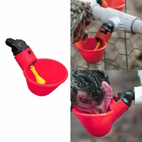 chicken drinking cup parrot automatic drinker duck chicken feeder plastic poultry bowls and bird drinkers cups water system farm