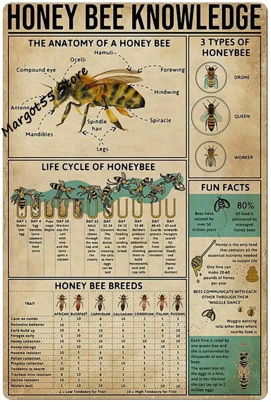 

Винтажный жестяной знак, знания анатомии пчелы, металлический знак для кафе, лучший подарок, настенное украшение, табличка для кафе, бара, кл...