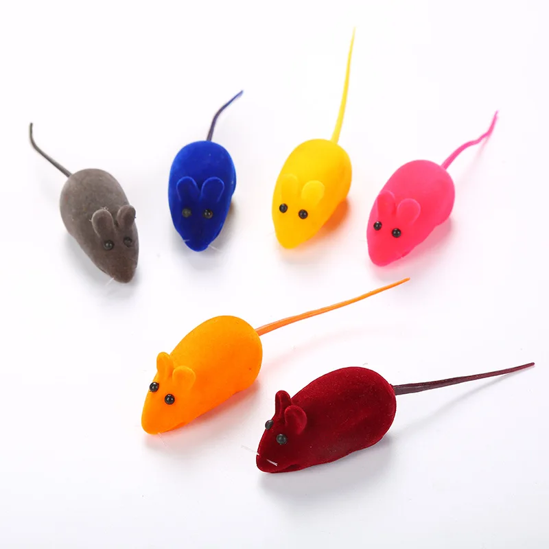 20pcs Pet Interactive Toys Folding Spring Shape Toy Colorful Feather Funny Training Lattice Jingle Ball Cat Supplie |