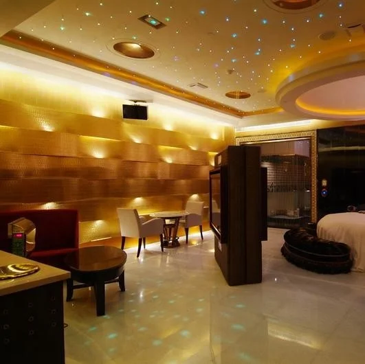 27w Twinkle DIY Optic Fiber Star Roof Lights Kit For Universe Starry Sky