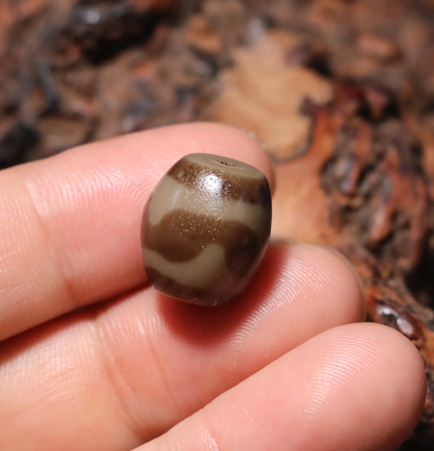 Энергетический тибетский старый агат патина цвета слоновой кости зуб тигра