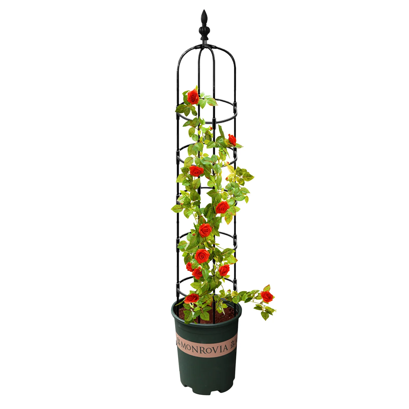 

Obelisk Plant Climbing Plant Vine Rack Garden Plant Climbing Trellis Spliced Steel Flower Frame Stand Plant Potted Support Frame