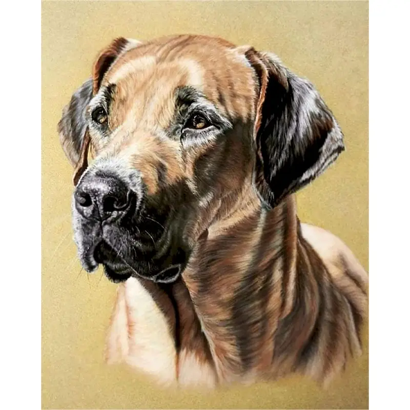 

GATYZTORY Oil Painting By Numbers For Adults Brown Dog Animal Paints Kits DIY Unique Gift 50x65cm Framed Wall Decor Photo