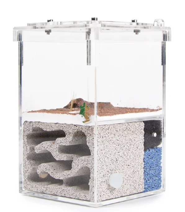 Смотровая коробка для формикариума акриловый дизайн муравьиные аксессуары