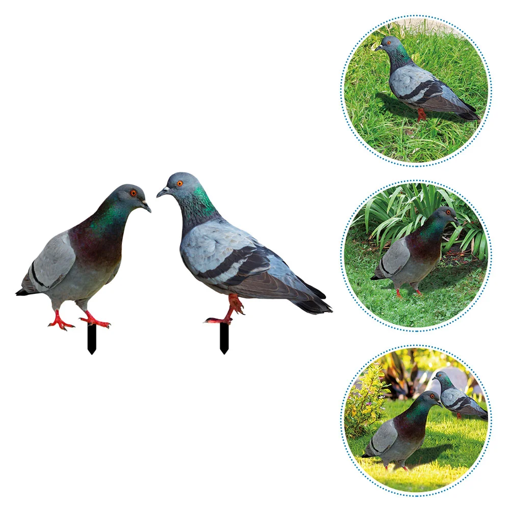 

2Pcs Pigeon Garden Stake Pigeon Yards Garden Stakes Garden Stake Garden Pigeon Insert Pigeon Yard Sign