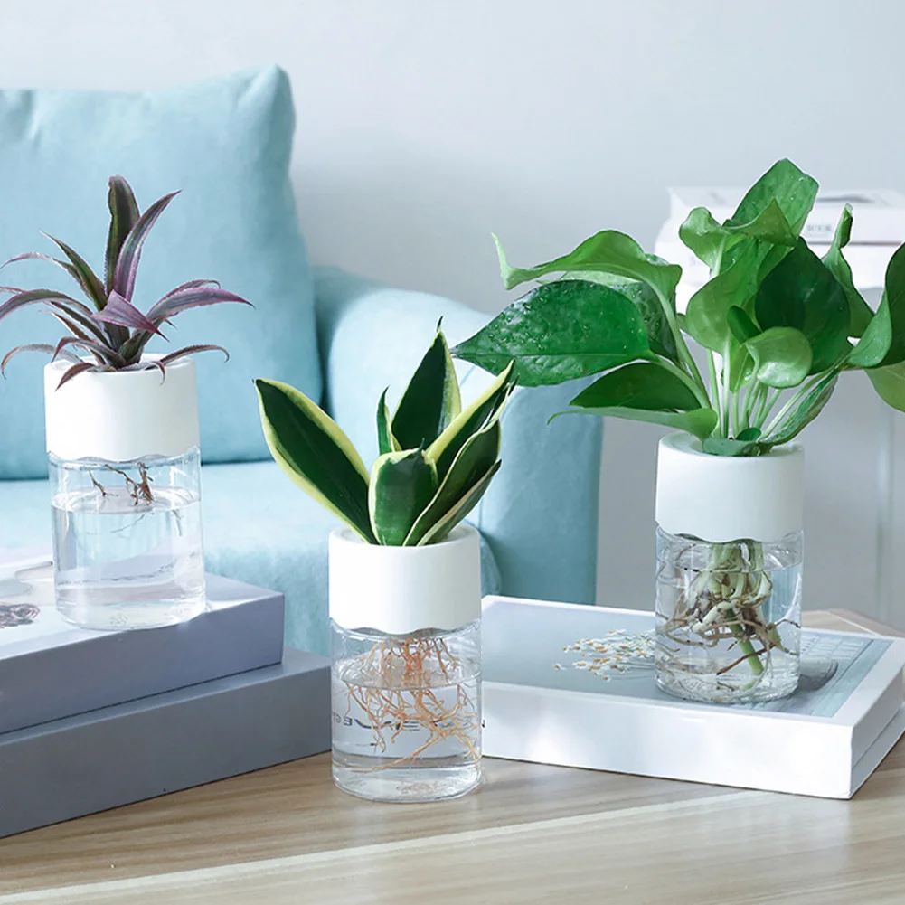 

Mini Hydroponic Flower Pot Home Vase Decor Transparent Plastic Soilless Plant Pots Green Plants Pot For Home Decoration 2023 New