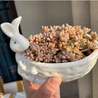 porcelain bunny figurine succulent plant pot decorative desktop ceramics rabbit flower planter garden ornament craft accessories