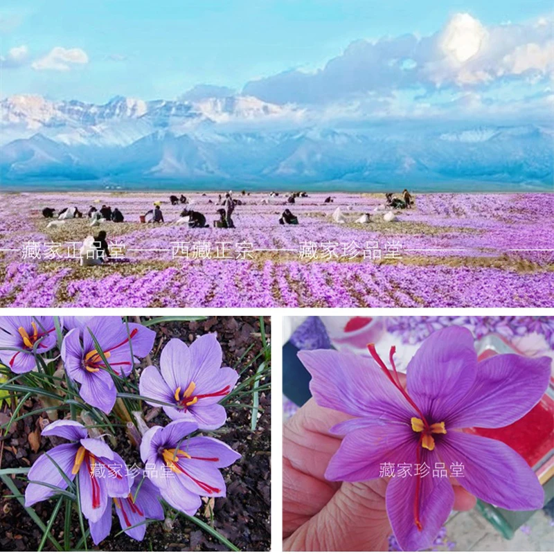 100% топ натуральный шафран сушеные цветы для женского купания