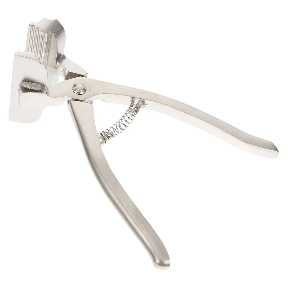 

Canvas Pliers Stretching Tool Spring Tools Pilers Painting Accessories Snap Practical Gripper Metal Major Multifunctional Clamp