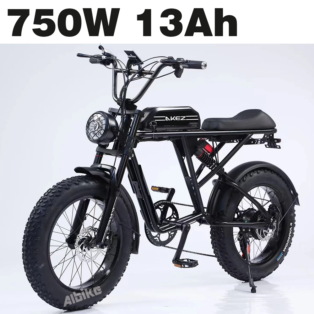 EU Stock 750W Motor Electric Bike for Adults Long Range Electric Bicycle 20 * 4.0 Fat Tire Full Suspension Mountain EBike