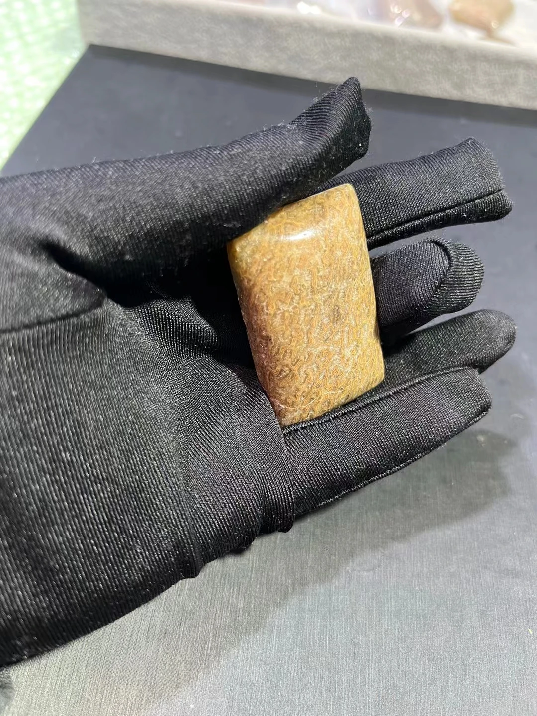 

1pc Natural Dinosaur Bone pendant stones crystal stone polishing Healing Spirit Energy Home Office Decoration DIY Gift