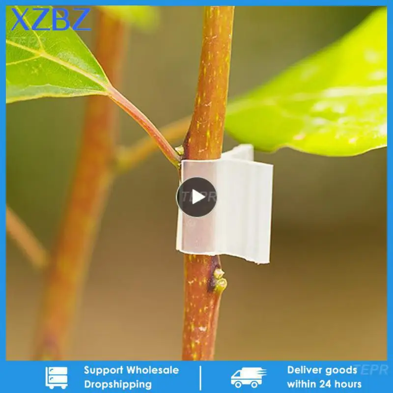Пластиковые зажимы для прививки зажим садовых растений поддержка овощей