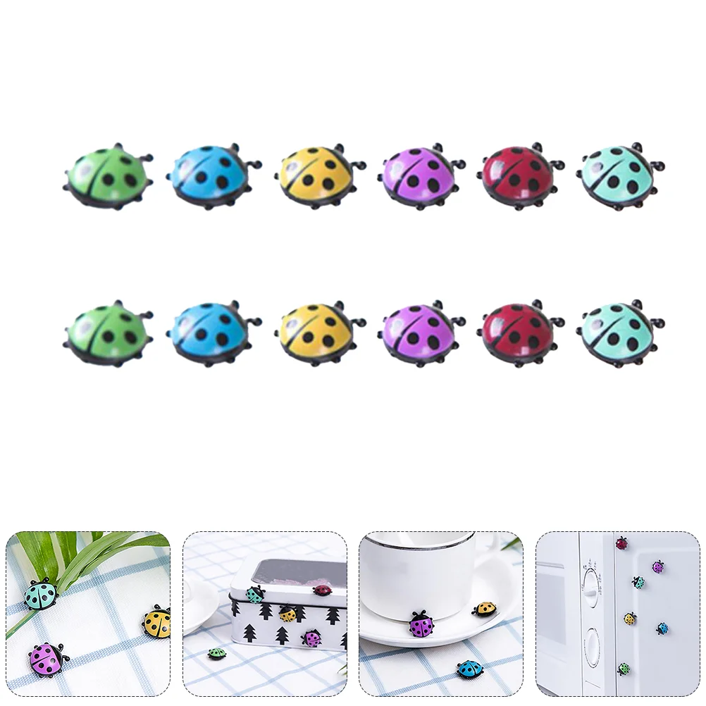 

Ladybug Fridge Magnet Magnets Sticker Home Decor Kitchen Self Adhesive Mini