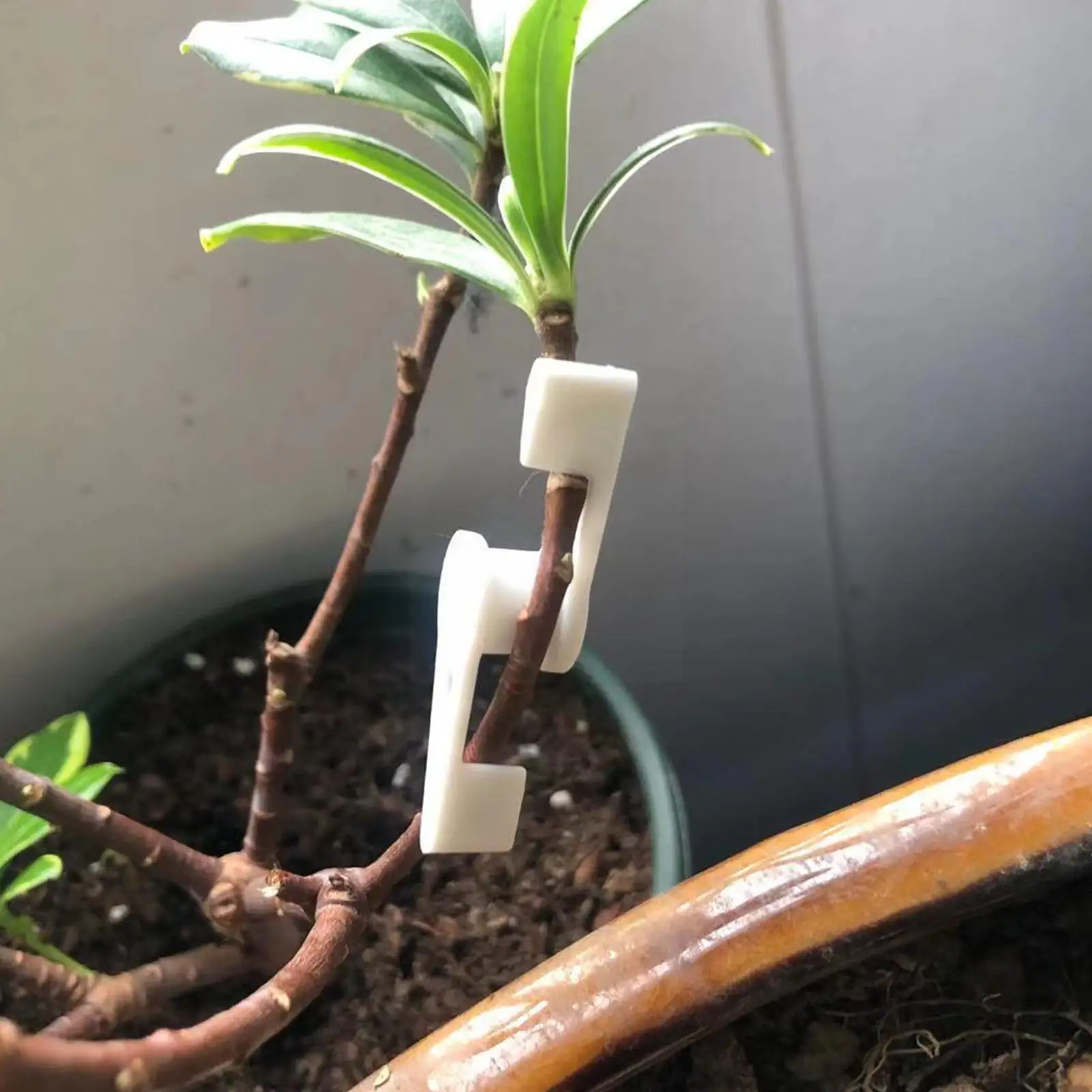 

1 Pcs 360 Degree Adjustable Plant Trainer Clips Trees Branches Bender For Bonsai Nursery Stock Low Stress Training Control G1m3