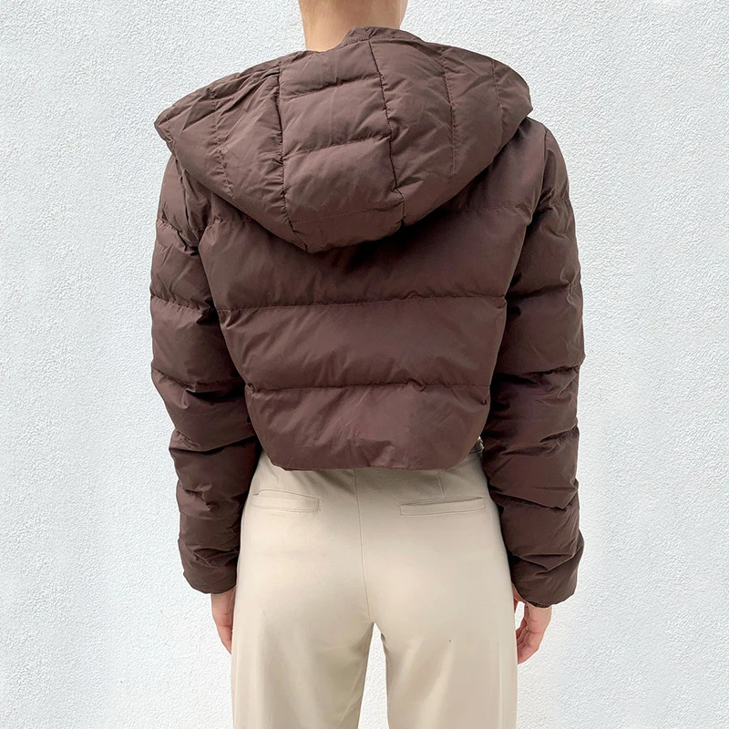 Street Fashion Bubble Coat Standard Collar Oversized Short Jacket Brown 2021 New Winter Autumn Female Puffer Jacket Parkas Mujer