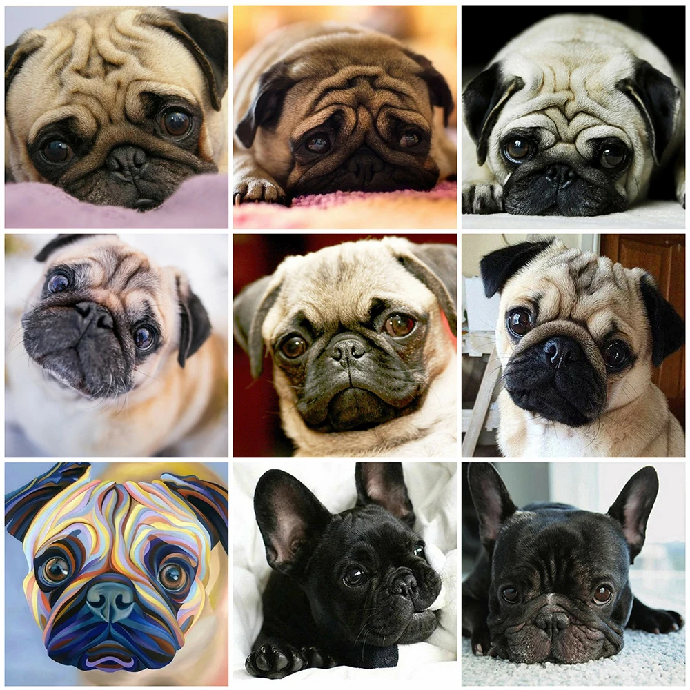 

HUACAN 5D алмазная вышивка собака полная алмазная живопись животное фото украшение для дома