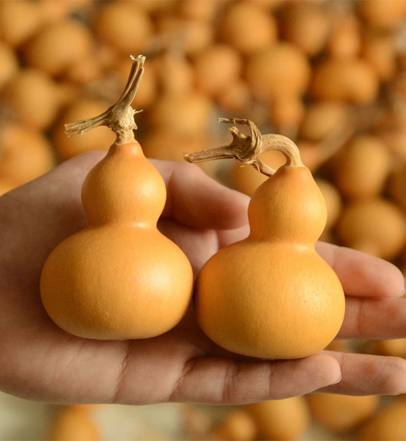 

Mini Natural Dry Gourds Craft Small Calabash Gourd Fengshui Bagua Hulu /Dried Lagenaria siceraria Gourds