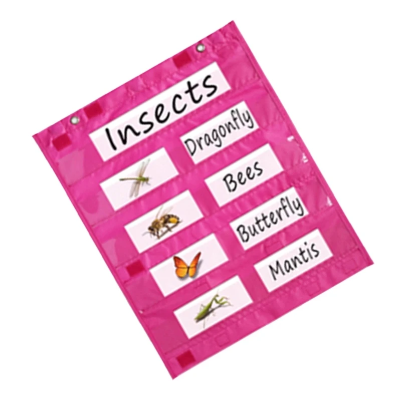 QX2B Магнитная карманная диаграмма для классной доски двусторонняя