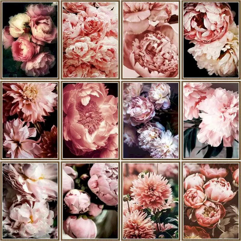 

Набор для рисования по номерам на холсте «Пион»