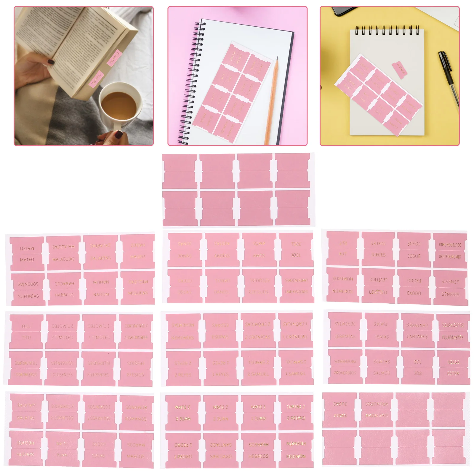 

Bible Tabs Boys Index Book Marker Study Tag Reusable Blank Delicate Marks Markers Page Divide Tags Label Bookmark