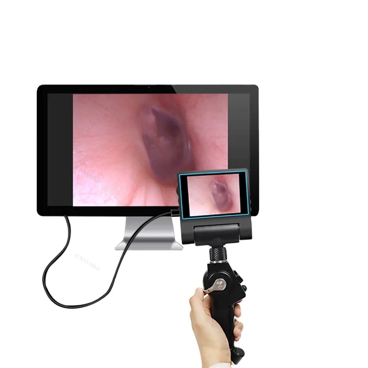 

SY-P029-1 Examination broncho videoscope vet video endoscope