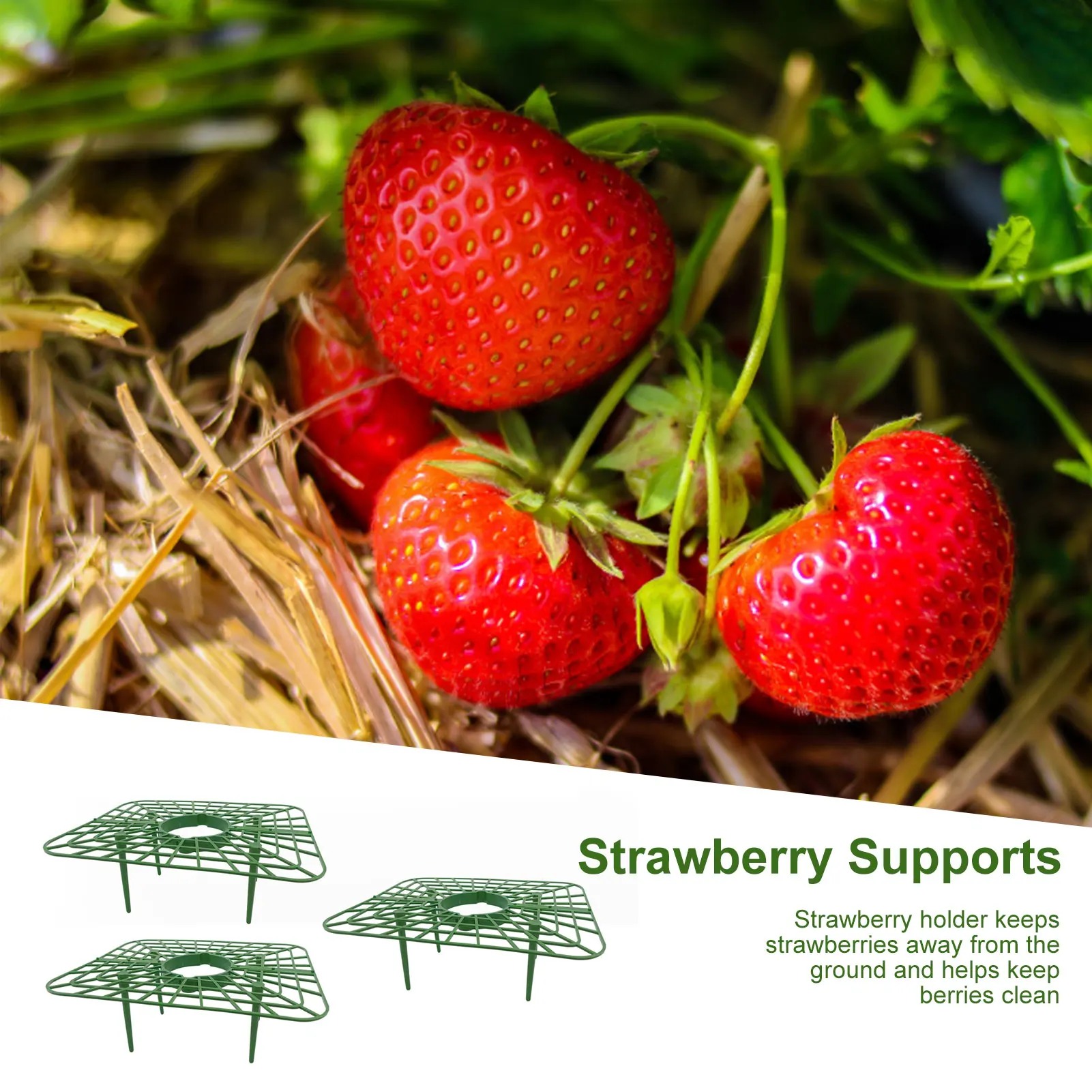 

3pcs Handy Strawberry Supports Fruit Support Cages With 4 Sturdy Legs Climbing Rack Vine Pillar Garden Stand Keeping Plant Clean