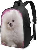 laptop backpack 17 inch travel lightweight backpack with usb charging port pomeranian and flowers