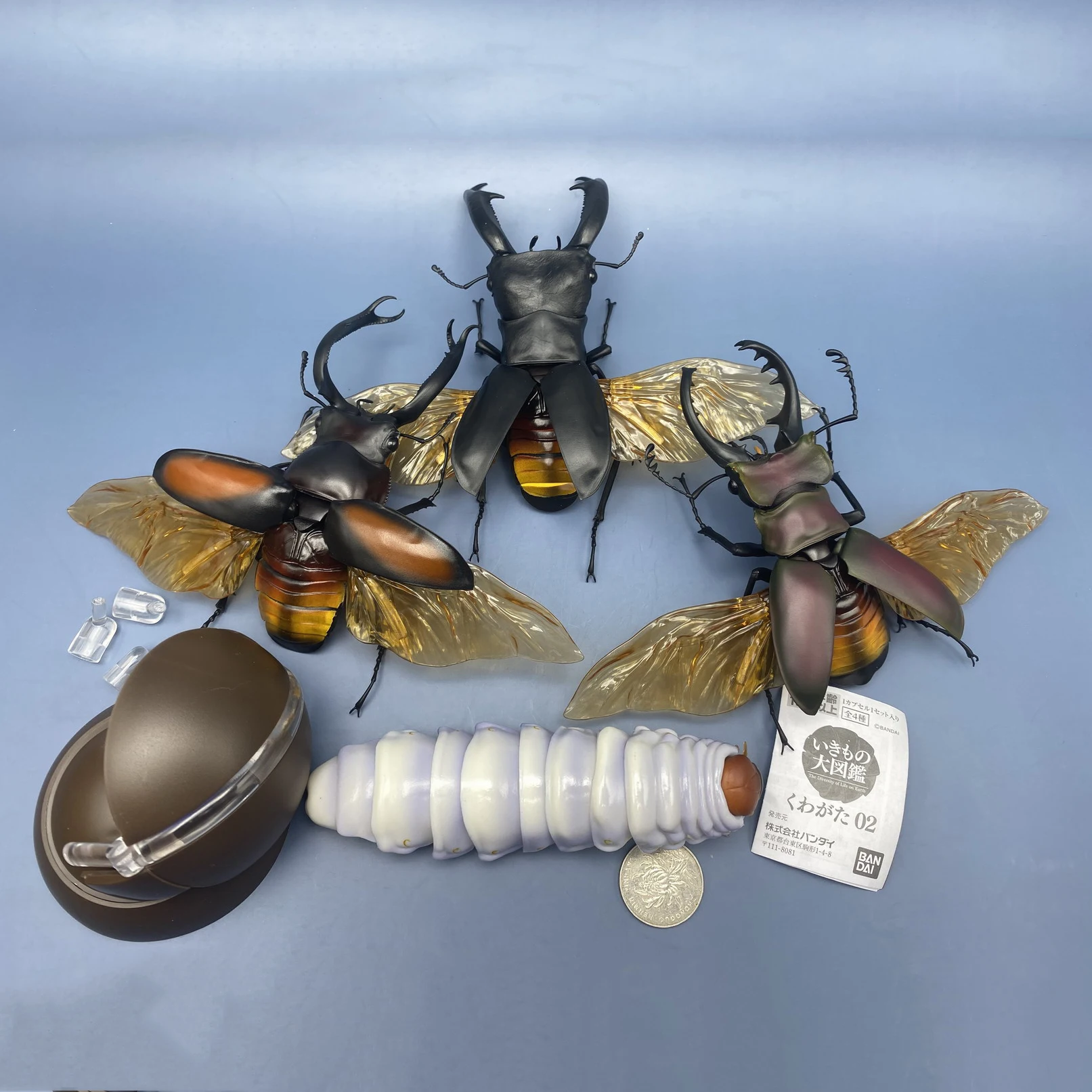 

Bandai Genuine Insect Simulation Model Gashapon Toys Stag Beetle Unicorn Joints Movable Model Ornament Toys Children Gifts