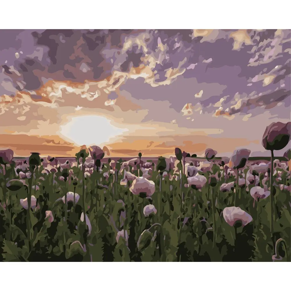 

№ 1097 Раскраска по номерам, раскраска маслом своими руками, картина по номерам, подарок для рисования, холст, Декор, Новое поступление