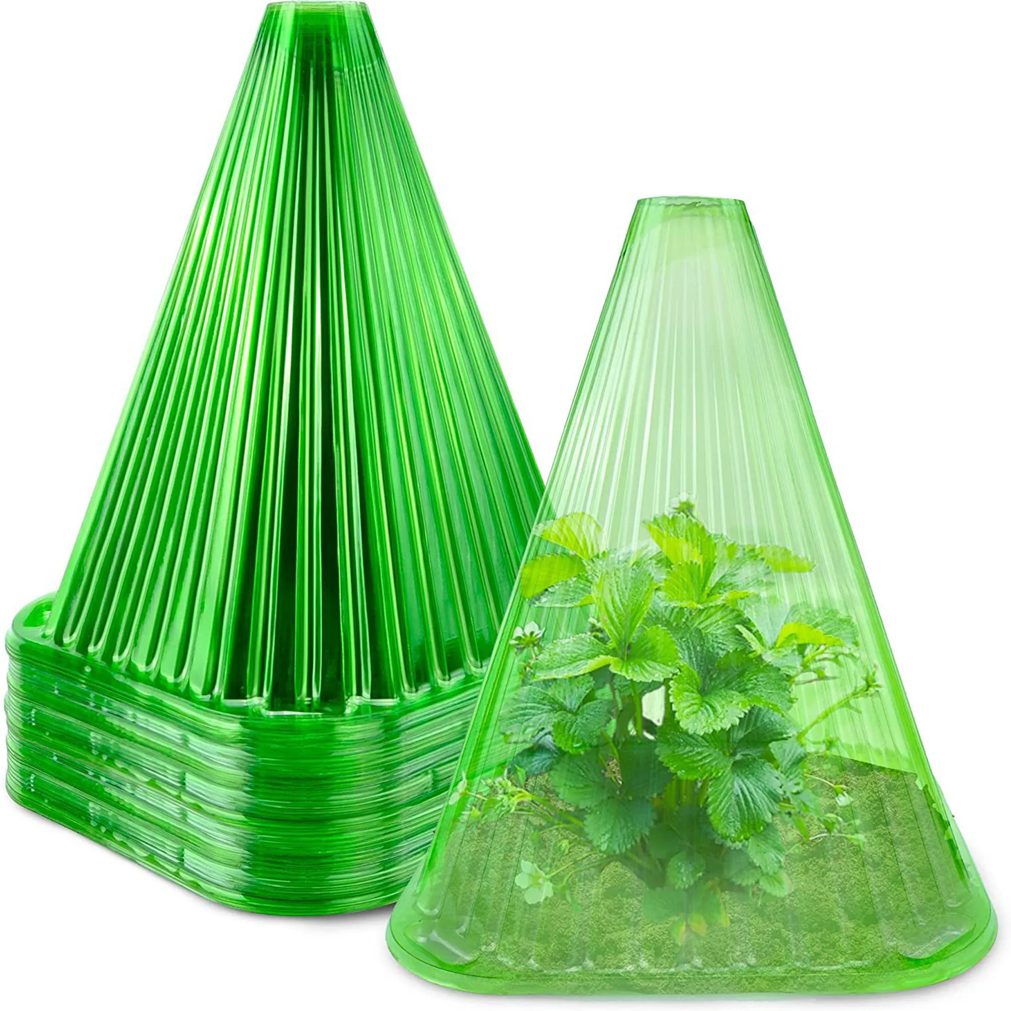 Garden Cloches for Plants Reusable Multifunctional Plant Bell Covers Plant Covers Protectors Transparent from Birds Frost Freeze