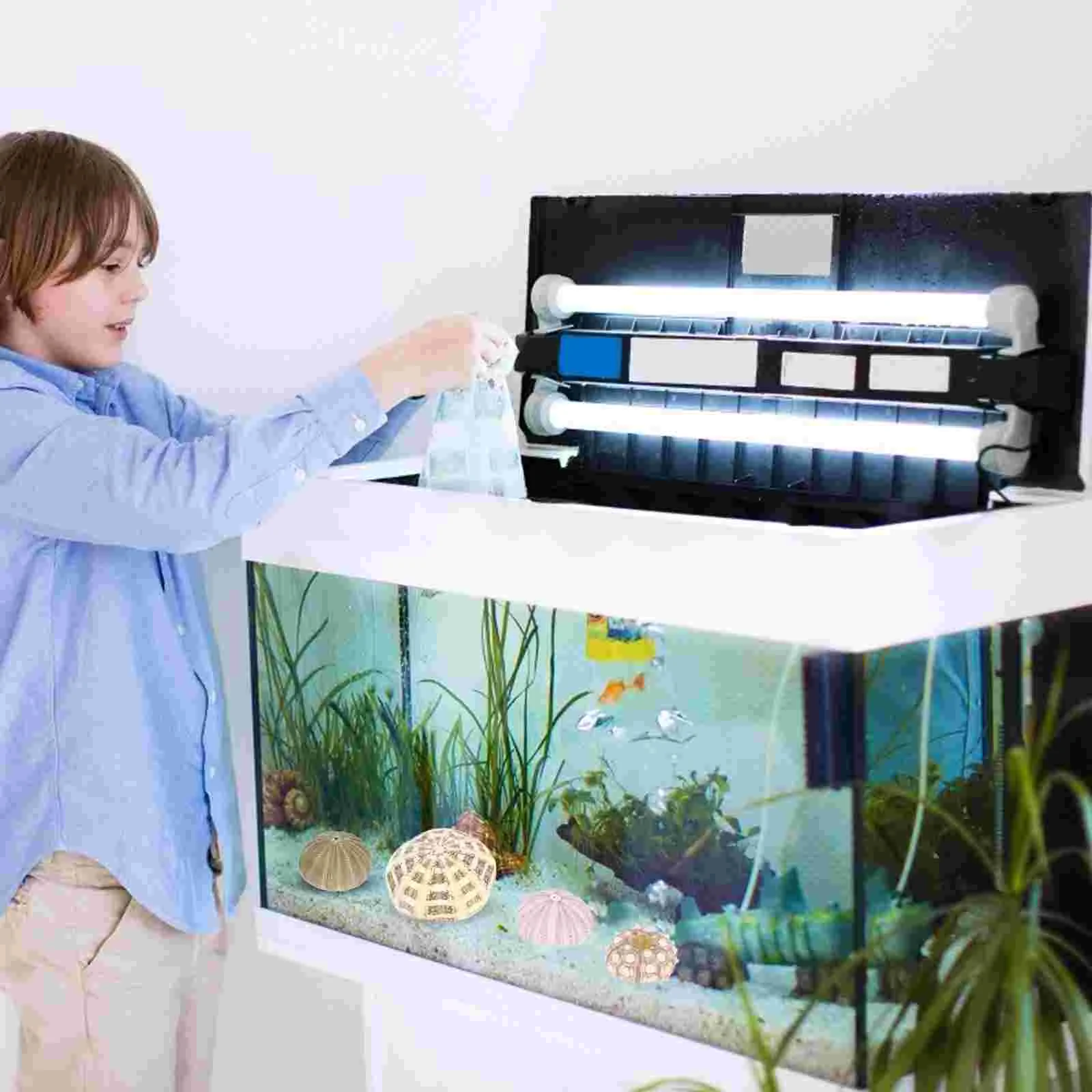 

Sea Urchin Shells Shell Air Planter Holder Seashells Decor Aquarium Pot Tank Crafts Mini Tillandsia Urchins Hanger Hanging