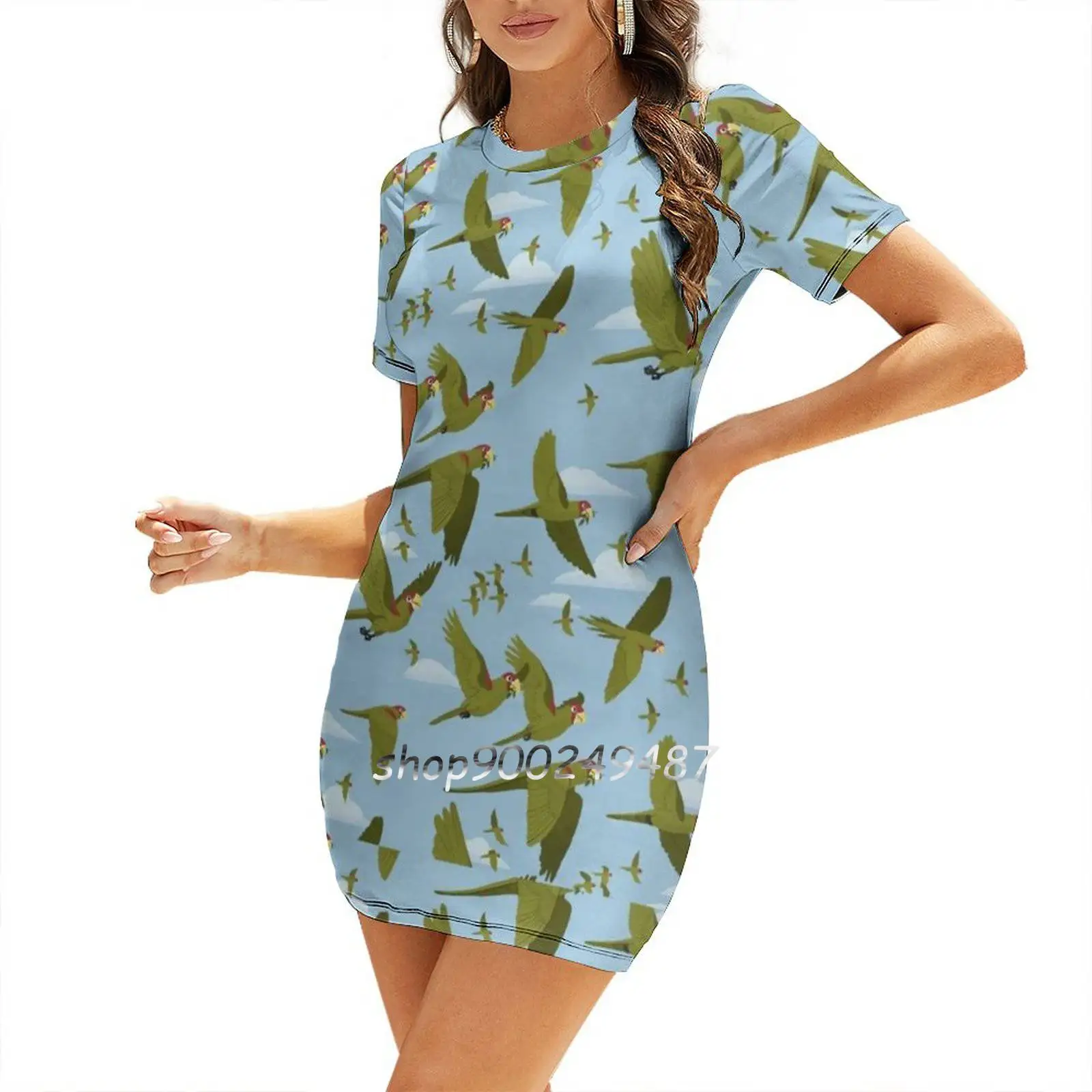 Parakeet Migration Dresses For Women A-Line Korea Style Slim Long Sleeve Dress Parrot Bird Nature Tropical Cute San