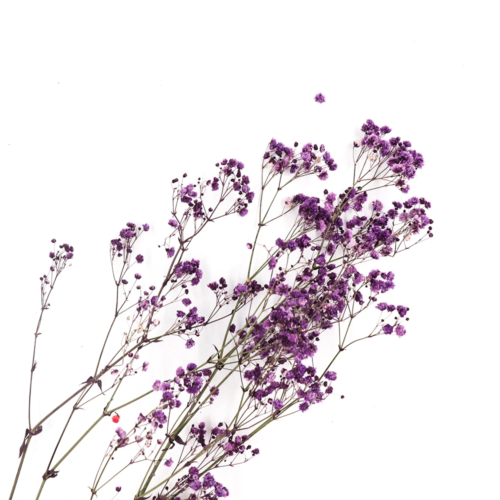 95 г сохраненные цветы букет Babysbreath сделай сам натуральная реальная вечная жизнь