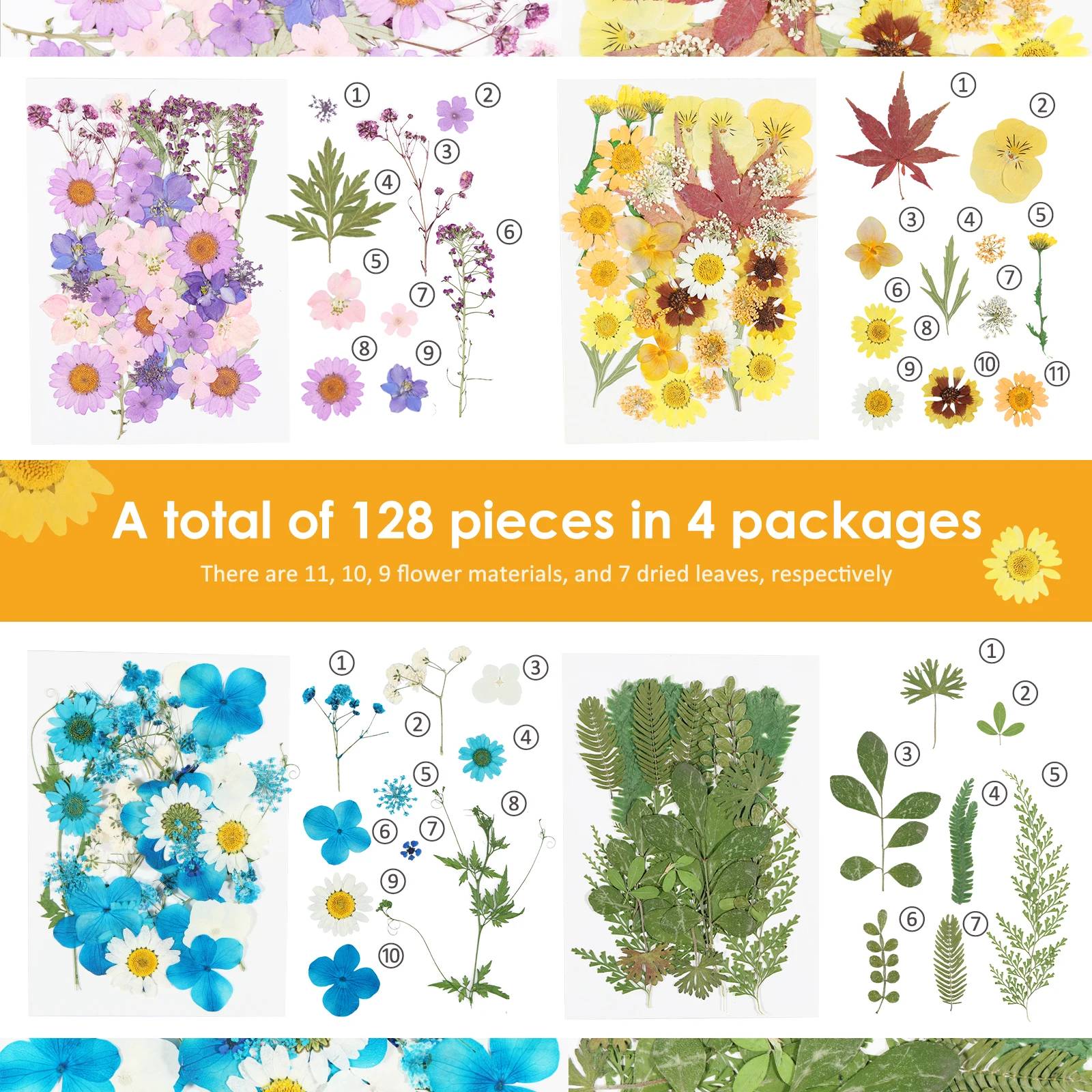 

Сухие прессованные цветы для декорирования