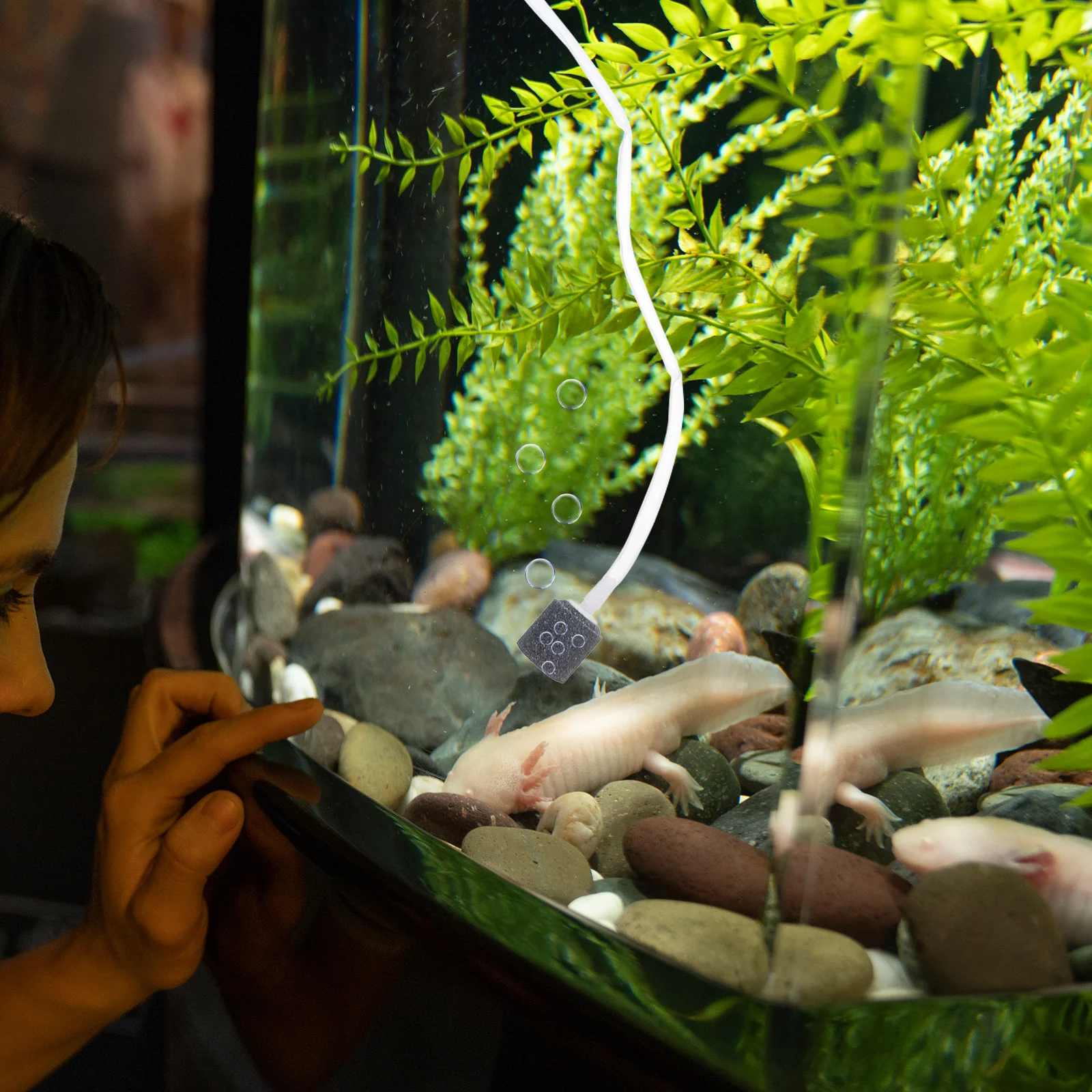 USB портативный аквариум для сельского хозяйства принадлежности аквариума