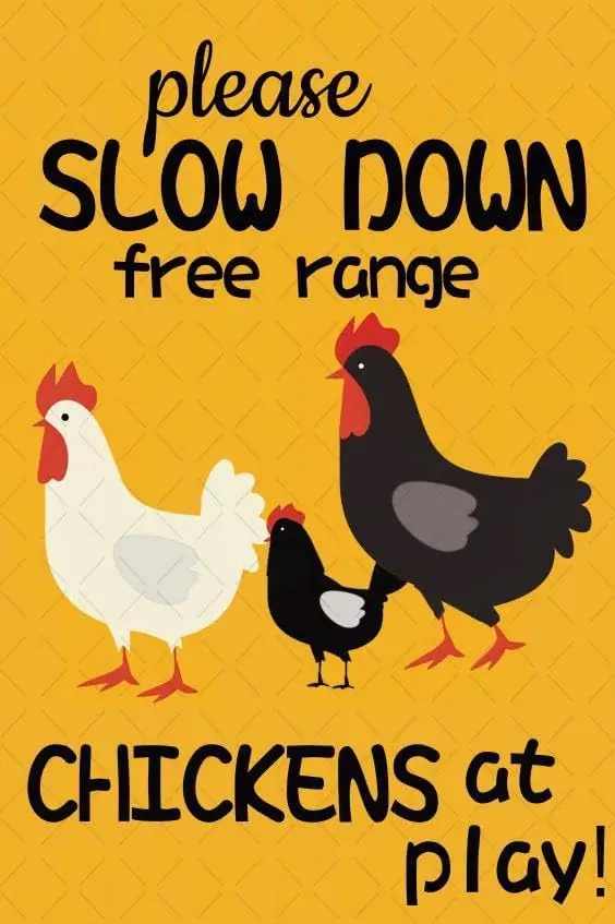 Забавная курка Sgn Plese Slow Down Free Rnge Chckens t Ply Chcken Crossng Decor For Gfts Home Ktchen Frm 8x12 nch