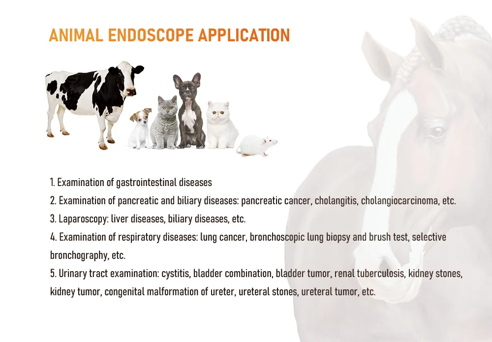 Комплект ветеринарной хирургии жесткая одноразовая система эндоскопической