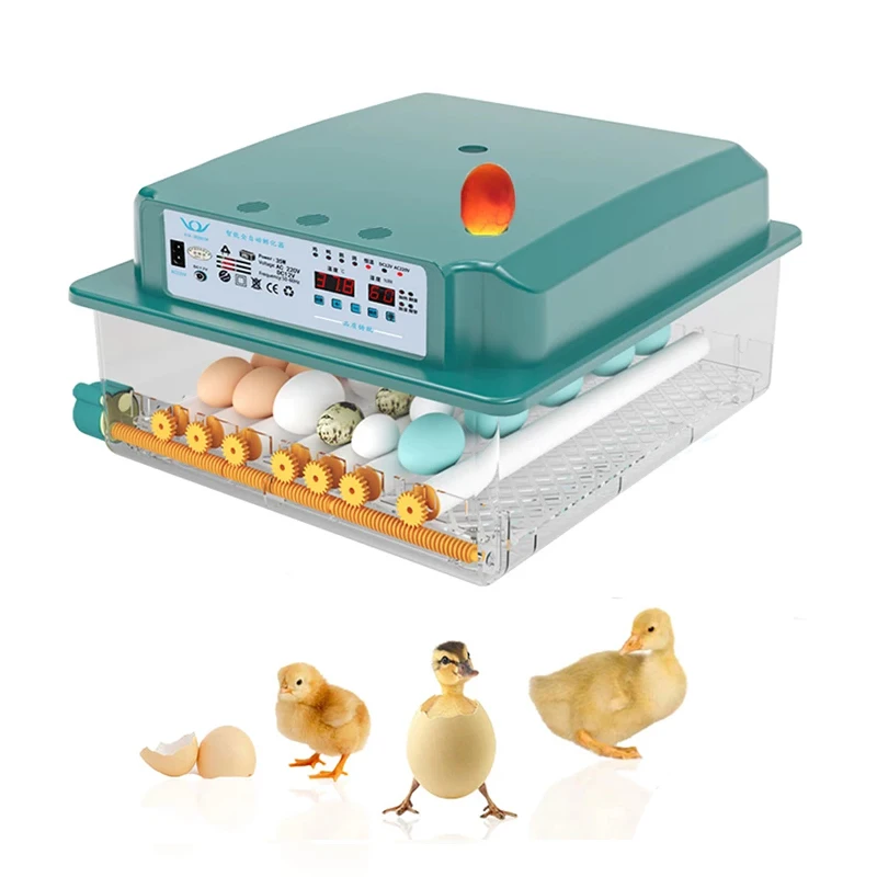 Automatic eggs incubator