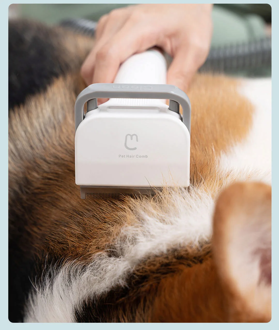 Машинка для стрижки домашних питомцев С 5 доказанными инструментами груминга