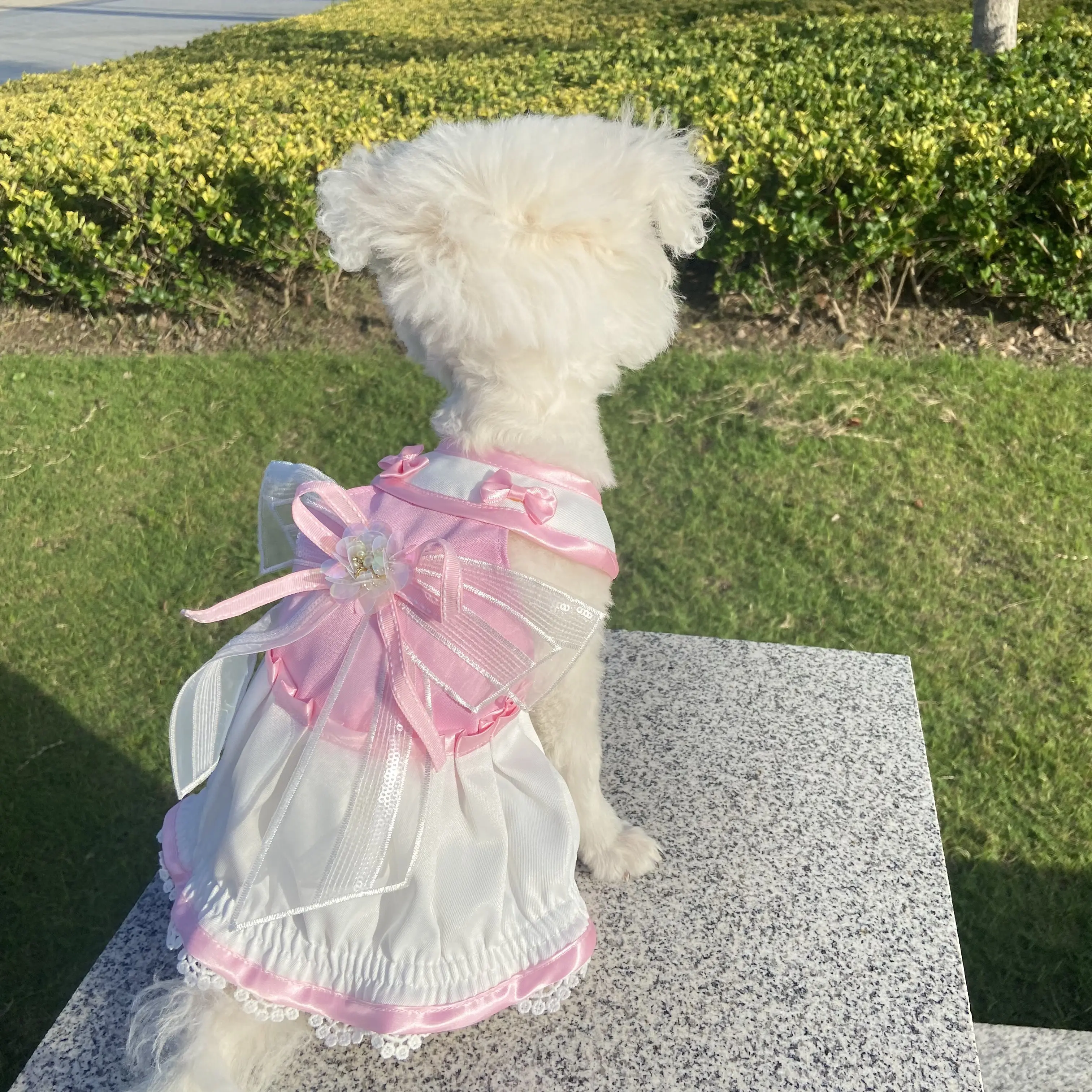 

Autumn Pink Dress Designer Dog Clothes Puppy Skirt Lace Bow Cute Princess Skirt Chihuahua Yorkshire Bulldog Poodle Maltese Cat