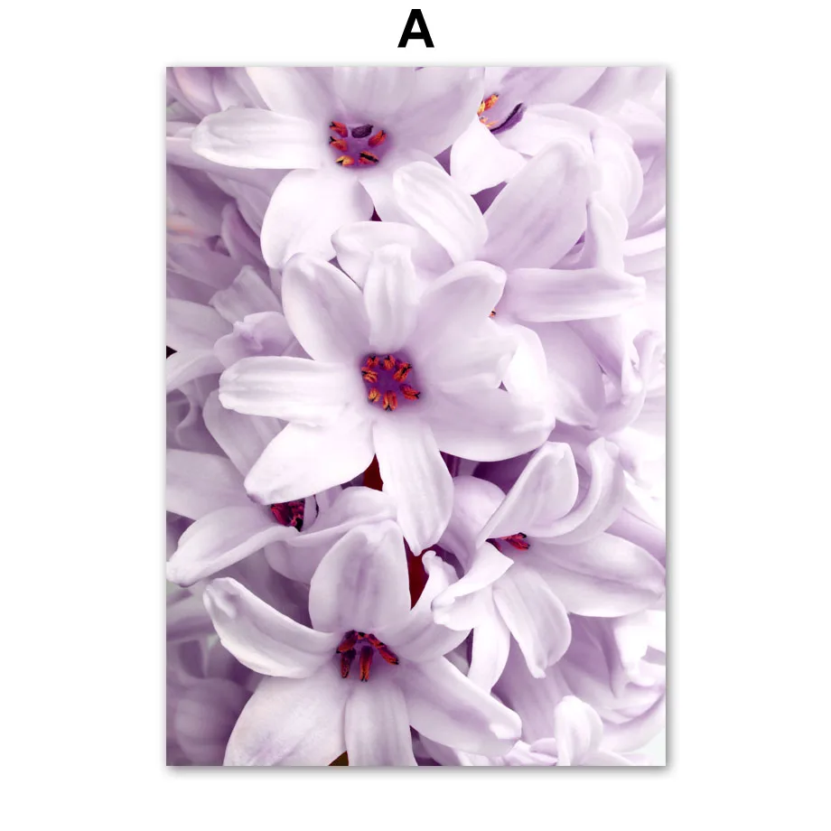 Одуванчик Рид с фиолетовыми цветами и морских водорослей закат Nordic плакат