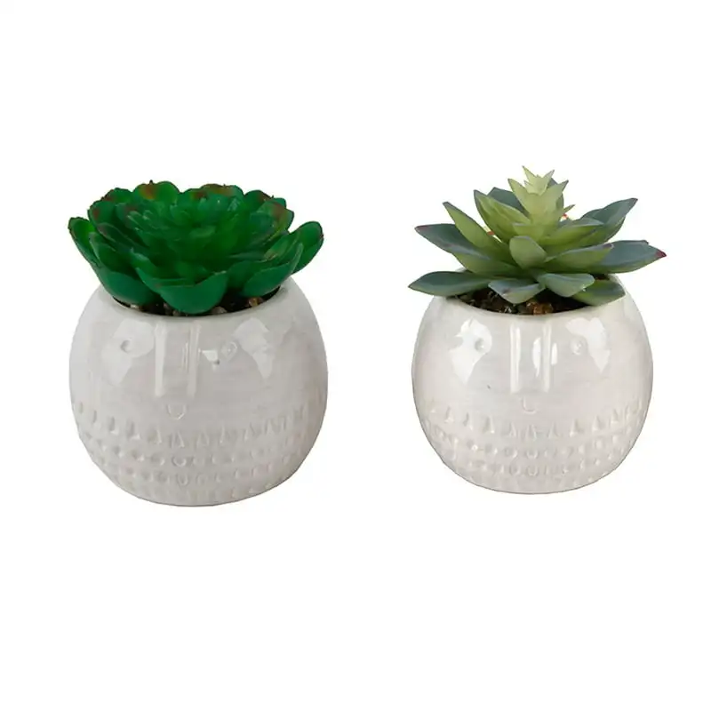 

Set of 2 Artificial Succulents in 4