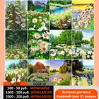 Evershine 5D DIY алмазная вышивка полная выкладка цветы Алмазный мозаика ромашки вышивка крестом картина стразы декор для дома