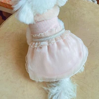 fashion dog dress warm winter clothes xxs lace cute pet puppy small dogs princess dresses maltese chihuahua poodle yorkies skirt