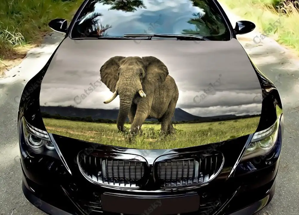 

Индийский Слон раннее утро обмотка капота автомобиля Цветная виниловая наклейка фотография капота Пользовательские Декоративные наклейки для автомобиля