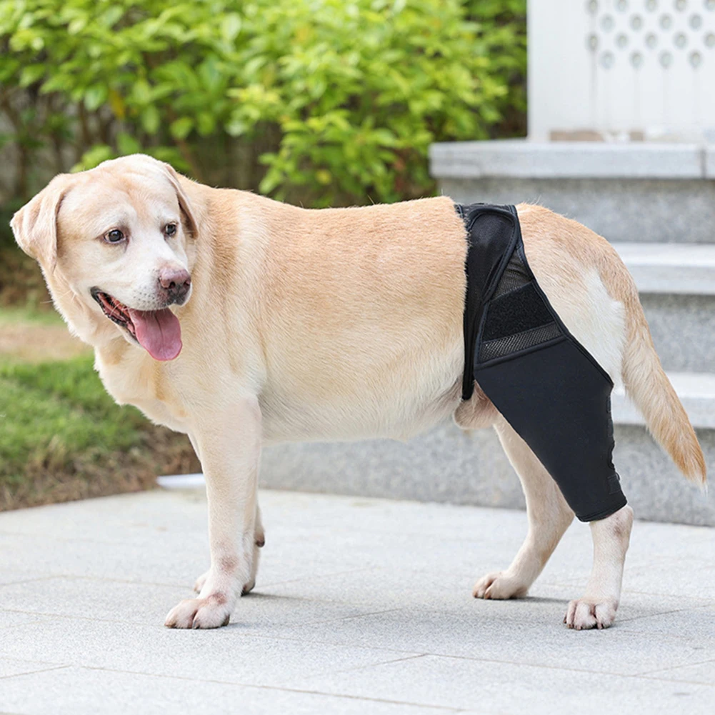 

Pet Knee Pads Dog Support Brace Leg Hock Joint Wrap Breathable Injury Disabled Recover Legs Dog Protector Sleeve
